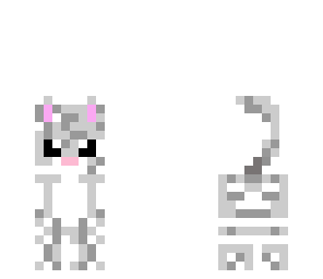 grey cat