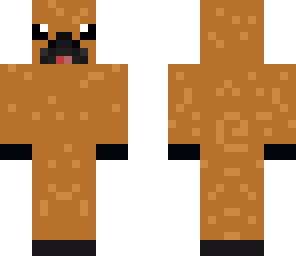 brown pug