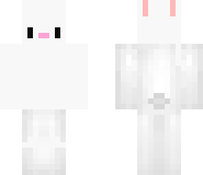 bro bunny