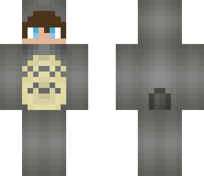 totoro skin