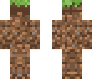 dirt skin