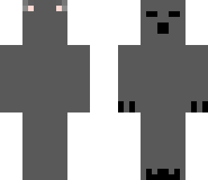 chenees koala