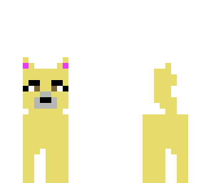 my dog sarah 