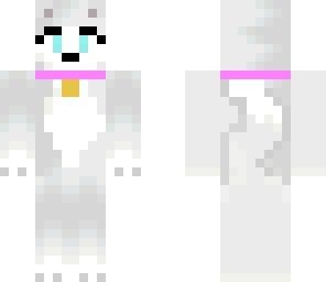husky pup