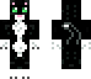 cute black cat