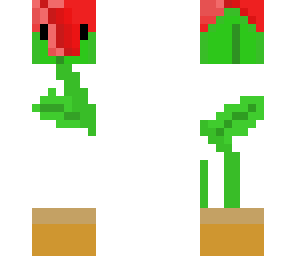 flower pot