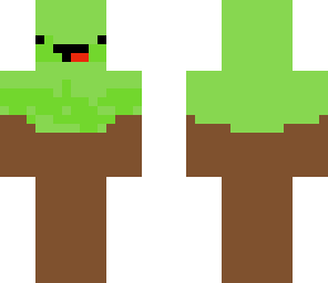 kiwi timmy