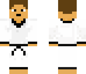 tae kwon do master