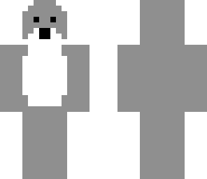 cute koala