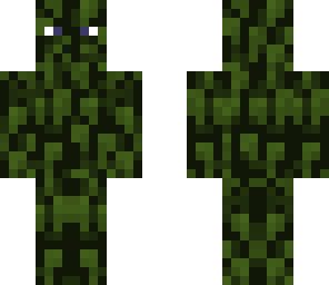 the leaf