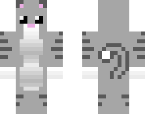 cat greey