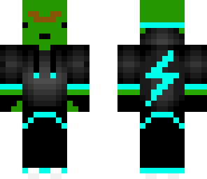 disabledturtle