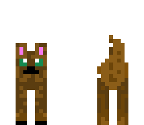 kittykat