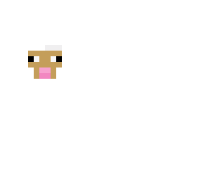 sheep