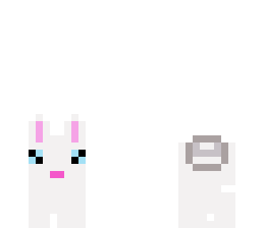 cute white bunny