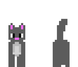 the grey cat