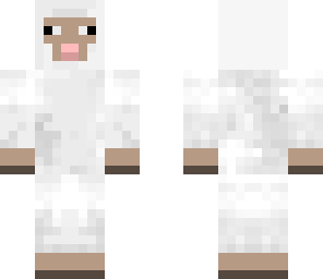 swagelicous sheep