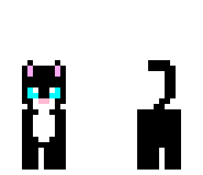 kitty cat