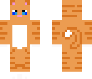 cute cat ginger
