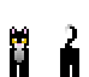 black and white cat