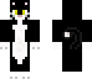 black cat