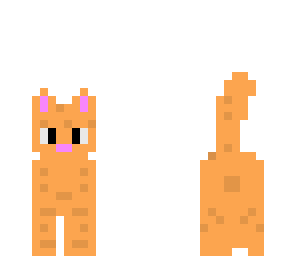 kitty
