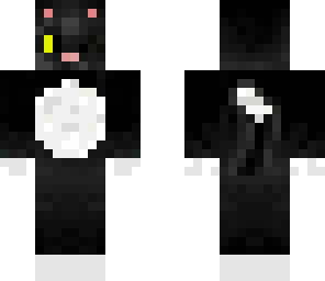 catlynn aka black and white cat