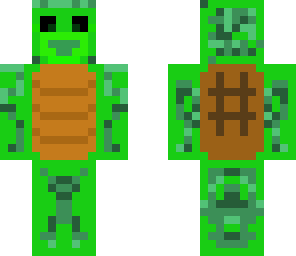 turtle