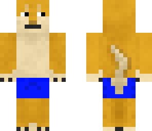 doge in swimming shorts