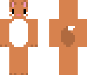 brown fluffy cat