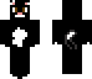 black cat