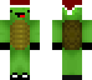 cool turtle