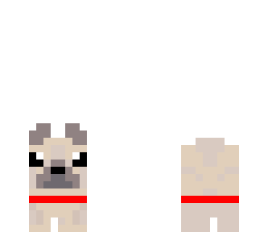 pug