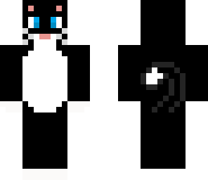oreo the black and white kitty
