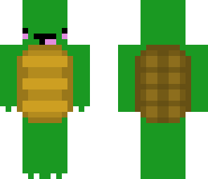 cute turtle