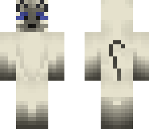 siamese cat
