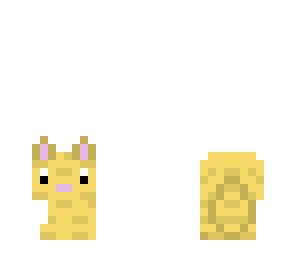 small yellow kitty