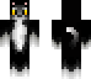 black cat