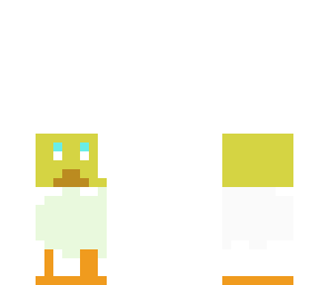 cute chicken sqaish