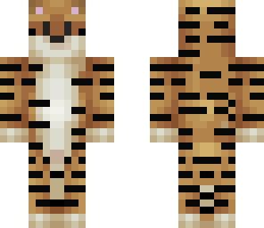 tiger