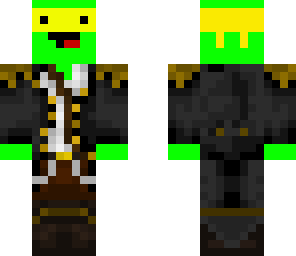 pirate turtle