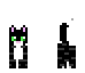 black cat