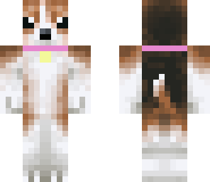 cute beagle