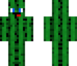 j3net derp cactus