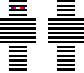 zebra-man