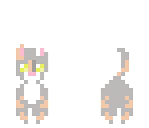 my cat