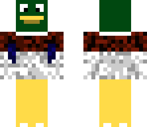 mallard duck