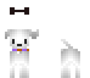 tiny puppy