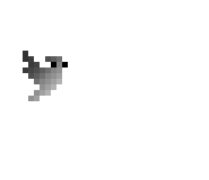gray bird