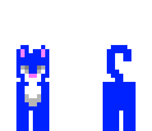 blue kitty cat